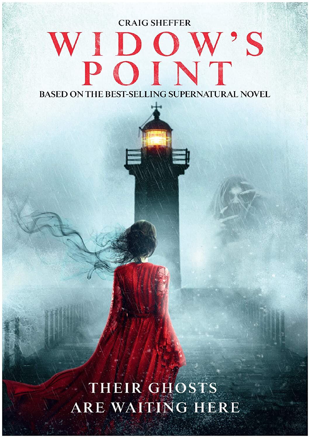 Widow's Point DVD cover